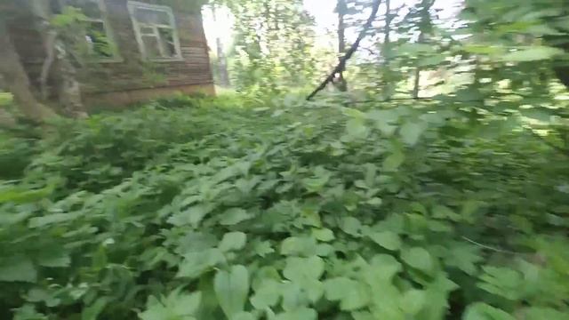 Заброшенный лагерь.Тут кто-то живет