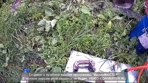 Тормозной диск греется