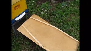 Уход от роения.  Искусственный рой.