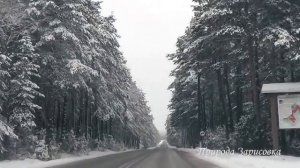 Дорога Зимой под Музыку   Красивая Зимняя Дорога в Заснеженном Лесу ? 1