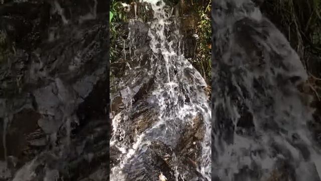 Лечебная музыка для сердца и сосудов нежная музыка смотреть онлайн