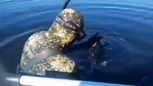 Подводная охота. Воронежское водохранилище...карась, линь! Лето 2019👍