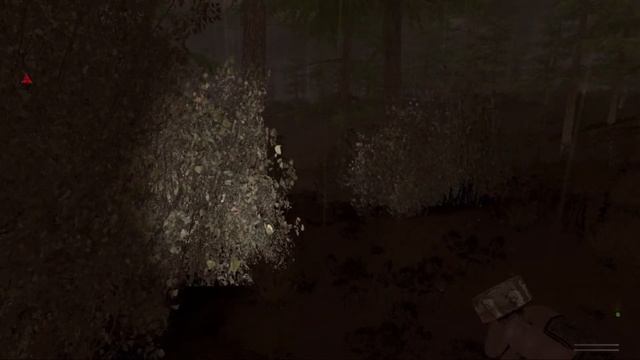 Stalker The Journey. Начало путешествия #1