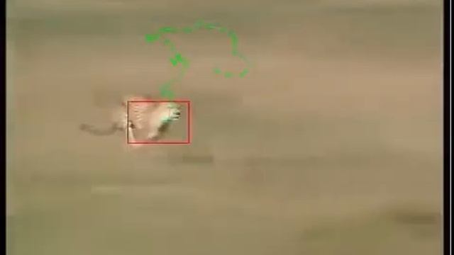 Mean-shift Tracking: cheetah 2 (HSV) смотреть онлайн