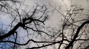 Рыбалка на карася / Краснодарский край