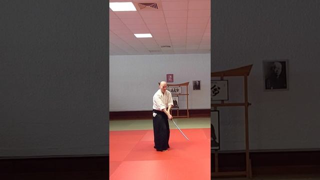 Battojutsu, Kenjutsu, Kata 1 #battojutsu #kenjutsu #iaido #martialarts #artsmartiaux #aikido