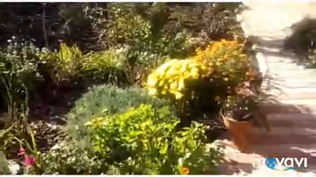 Летающая Кошка или верхом на аисте смотреть онлайн