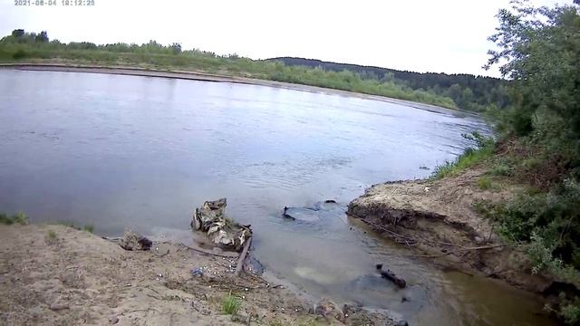 Маслянино. Река Бердь. Устье реки Филимониха