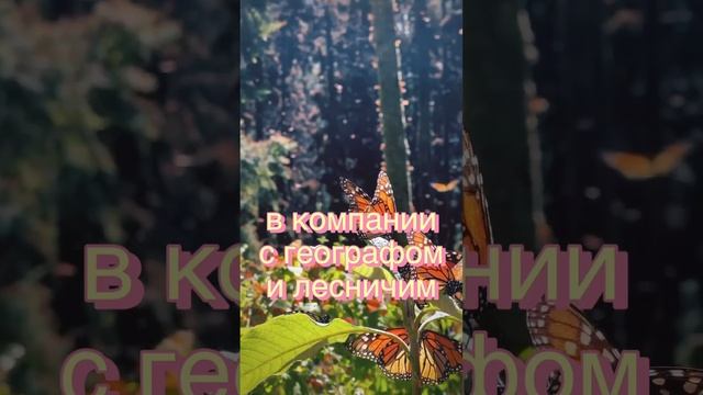 Тропический ? мир Аргентины. Mundo tropical del Argentina #аргентина #argentina #буэносайрес