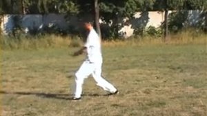 24 движения тайцзицюань