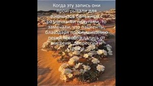 Аве Мария на арамейском языке  1080 X 1920