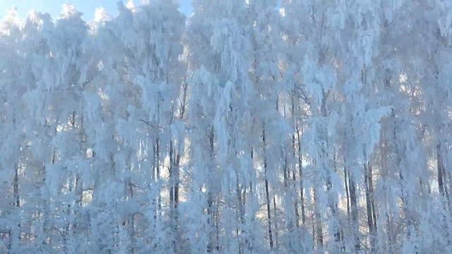 зимняя красота) смотреть онлайн