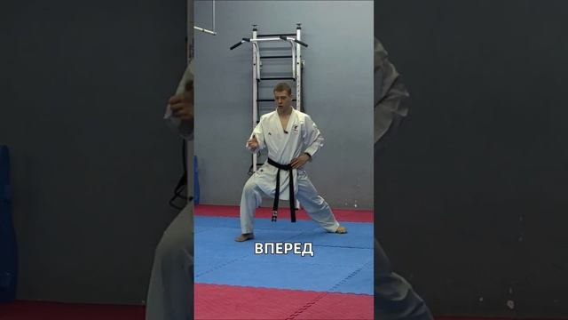 ДЗЕНКУЦУ-ДАЧИ                            #wkf #каратэ #обучение #дзенкуцудачи #кихон