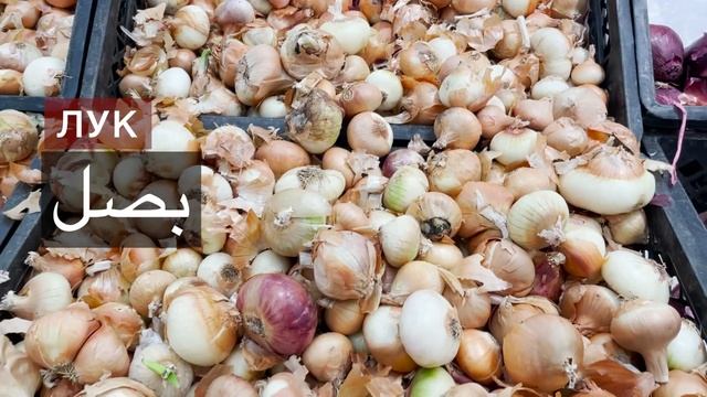 Овощи. Арабский язык. Словарь. Арабский за рулем. смотреть онлайн