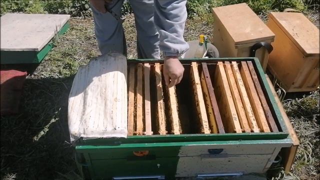 Улей лежак Постановка вощины смотреть онлайн