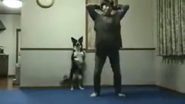 зарядка для хвоста) смотреть онлайн