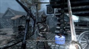 Cats of Skyrim