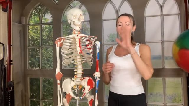 4 упражнения для снятия напряжения в спине, плечах и шеи. смотреть онлайн