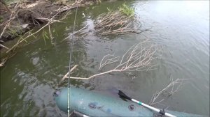 Щука,Окунь в августе.Рыба клюёт!