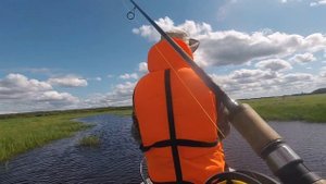 Щука в протоке на GOA. Нельма, BH Bassmania.