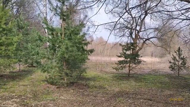 Измайловский парк 09.04.2023 смотреть онлайн