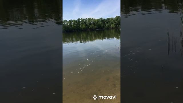 рыбалка на дону 2022 бешеный клёв карася смотреть онлайн