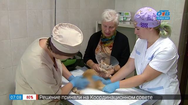 Пушистое утро – мочекаменная болезнь смотреть онлайн