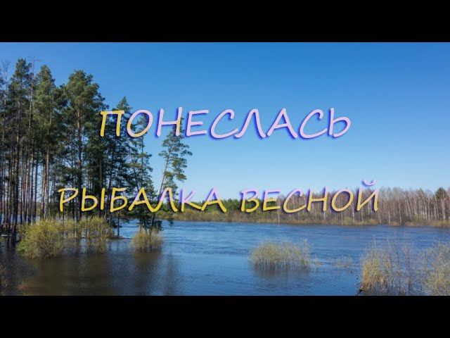 Весенняя рыбалка|Открытие сезона|Рыбалка на донку в заливе реки Волга| смотреть онлайн