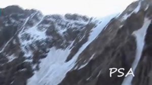 Уилпата 2009.