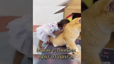 добро