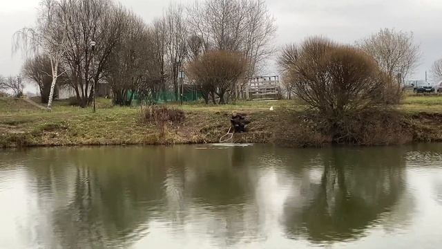 Рыболовный клуб «Зелёный берег» Обзор с водоема