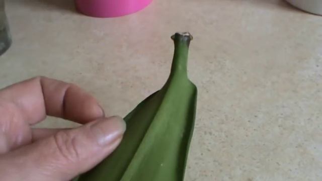Орхидея фаленопсис. Один лист. Растим корни.
