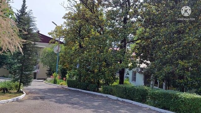 1114. Пришли с моря. Записываемся на смотреть онлайн