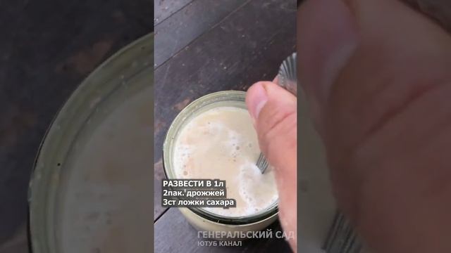 Огурцы засыплют Вас урожаем! Мощная витаминная подкормка огурцов #SHORTS смотреть онлайн