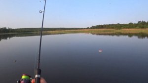 Щука на кружки. Сильный ветер не помешал поймать трофей