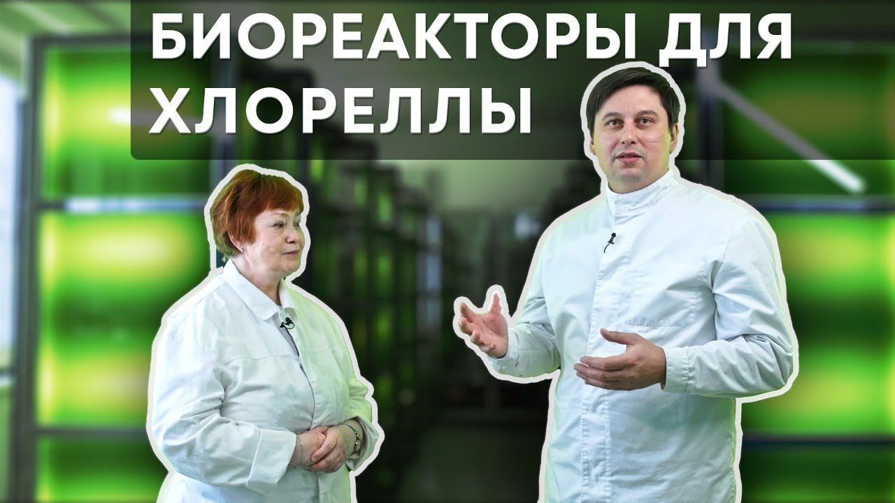 Биореакторы для хлореллы