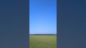 "Не выпрашивай любовь" Ирина Чадова