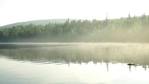 Карабаш, о.Уфимское