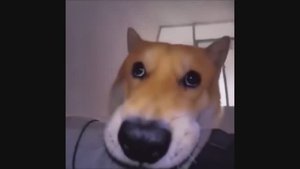 UNUSAL MEMES | НЕОБЫЧНЫЕ МЕМЫ - #1