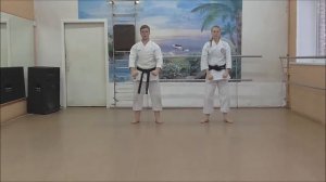 ★Видео учебник по Каратэ до Сито рю, для начинающих Урок№9 Кихон Kihon★