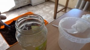 Метаризин микорад Инсекто 1.1 против насекомых вредителей.