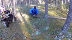 Трицыкл, валежник на дрова.