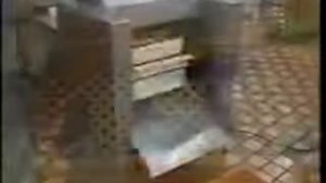 Головоруб пазового дискового типа Южная Корея. Отрезание головы у рыбы - сельдь, скумбрия