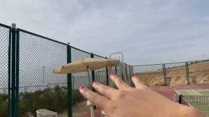 STELLA DI MARE BEACH HOTEL AND SPA 5* обзор отеля/еда,спа,территория,номера