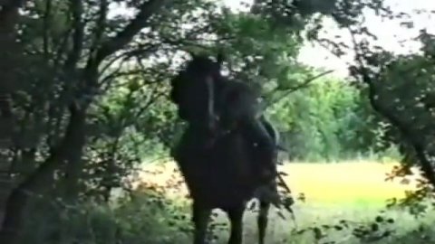 ***Сектор Газа*** - Еду бабу выручать