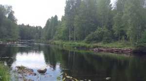 Улов на р. Олонка