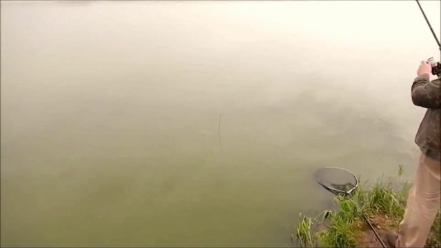 Платный водоем. Клинский рыбхоз. Московская область