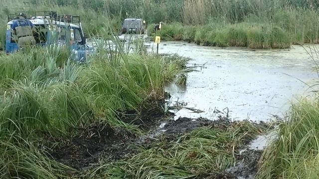 Болотная авантюра