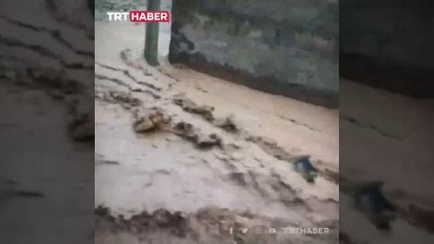 Число жертв наводнения в Турции возросло до 15 человек