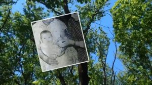 Поздравление  любимой сестре на юбилей